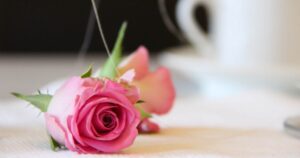 12 presentes incríveis para o seu parceiro (Dia dos Namorados especial)


