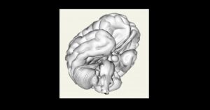A teoria modular da mente: o que é e o que explica sobre o cérebro


