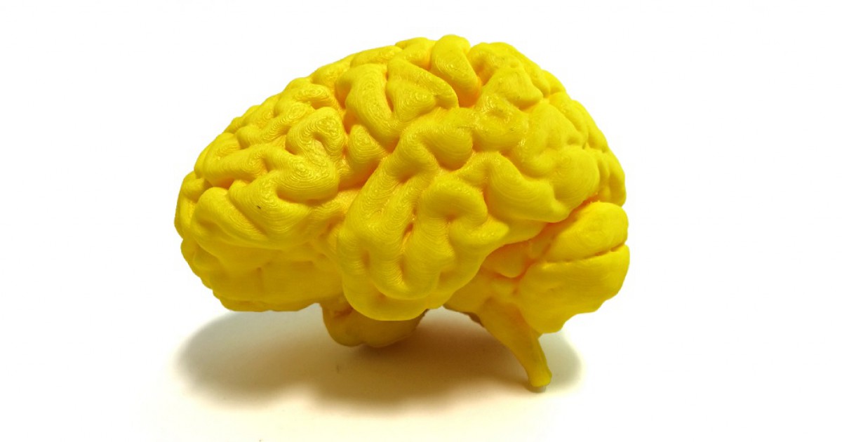 Áreas do cérebro especializadas em linguagem: sua localização e funções