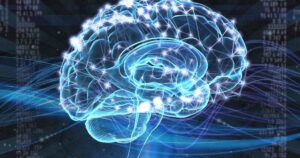 As 5 teorias hierárquicas da inteligência