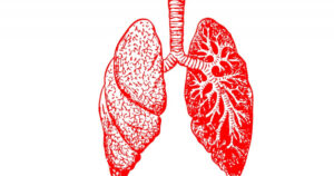 As 7 partes do pulmão: funções e características


