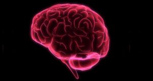 As 9 vias dopaminérgicas do cérebro: tipos, funções e distúrbios associados