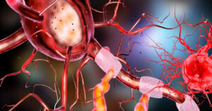 Axolema: o que é e quais são as características desta parte do neurônio