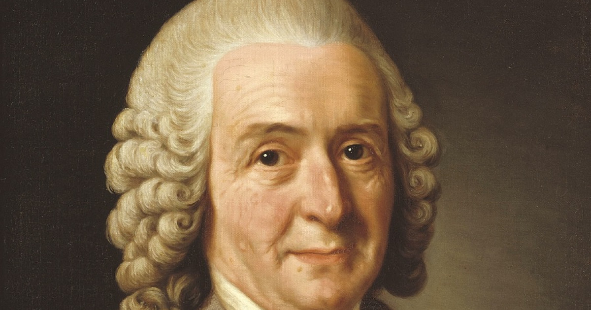 Carl von Linné: biografia deste naturalista sueco