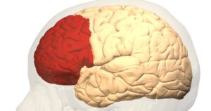 Córtex pré-frontal: funções e distúrbios associados