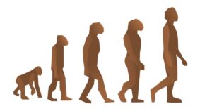 Diferenças entre psicologia evolutiva e psicologia evolutiva