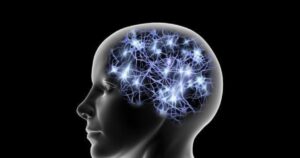 Giro cingulado (cérebro): anatomia e funções