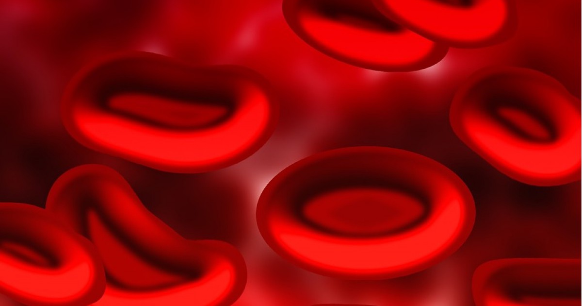 Grupo sanguíneo: características e composições