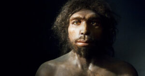 Homo antecessor: características desta espécie extinta