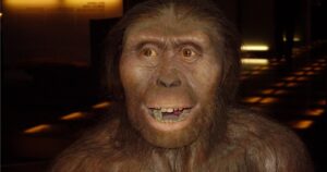 Lucy, o Australopithecus: foi o fóssil que mudou tudo