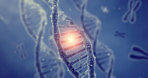 Nucleotídeos de DNA: o que são, suas características e suas funções


