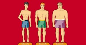 Os 7 tipos de corpo (ou somatótipos): o que são?