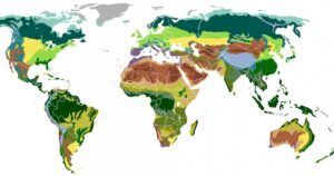 Os 8 tipos de biomas do mundo


