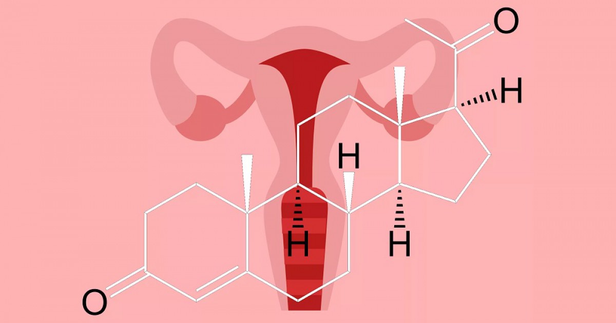 Progesterona: características e funções desse hormônio sexual