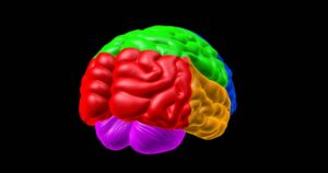 Psicologia cognitiva: definição, teorias e principais autores


