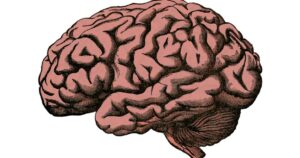 Rachaduras cerebrais: o que são, características e tipos