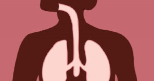 Sistema respiratório: características, partes, funções e doenças


