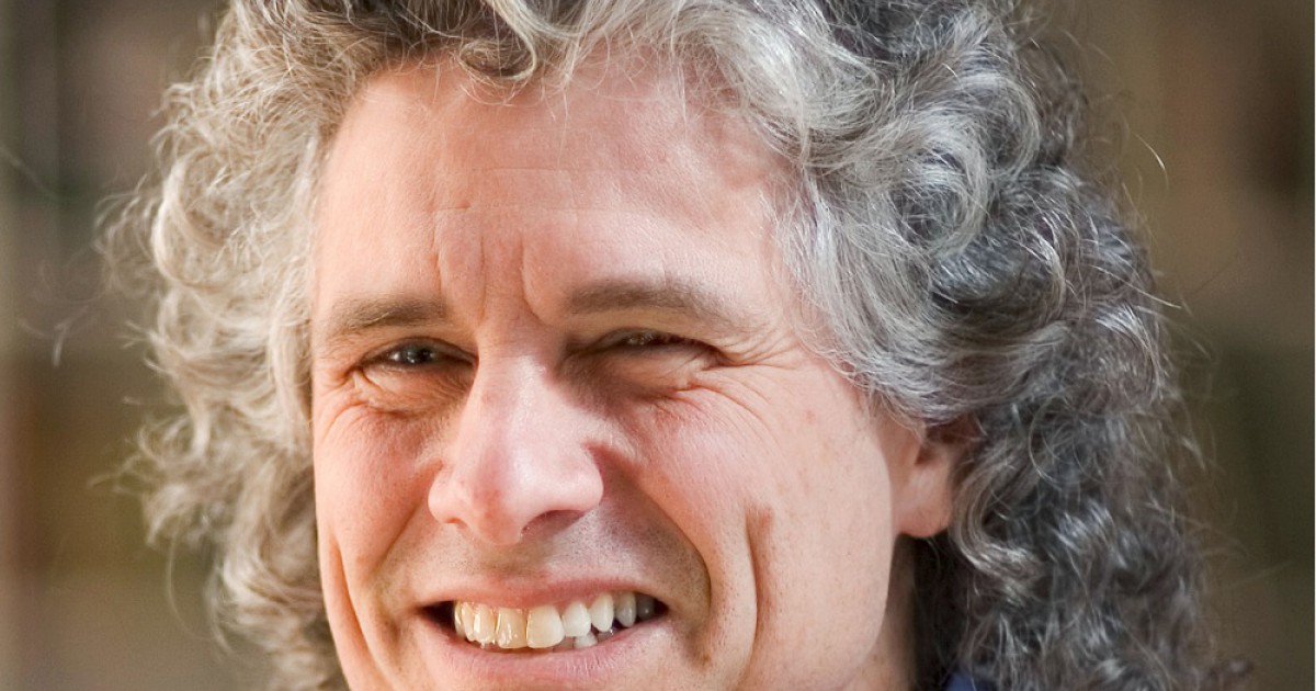 Steven Pinker: biografia, teoria e principais contribuições