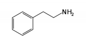 Feniletilamina: características deste neurotransmissor